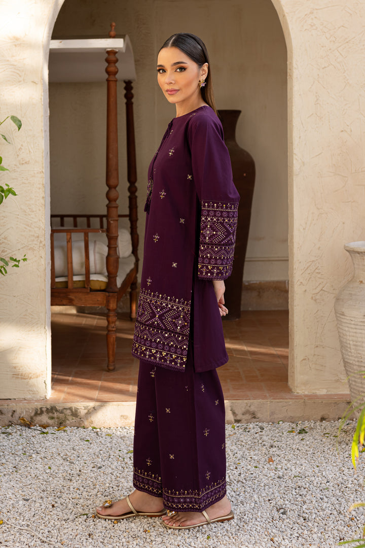 Dhanak-2pc Embroidered- 3163