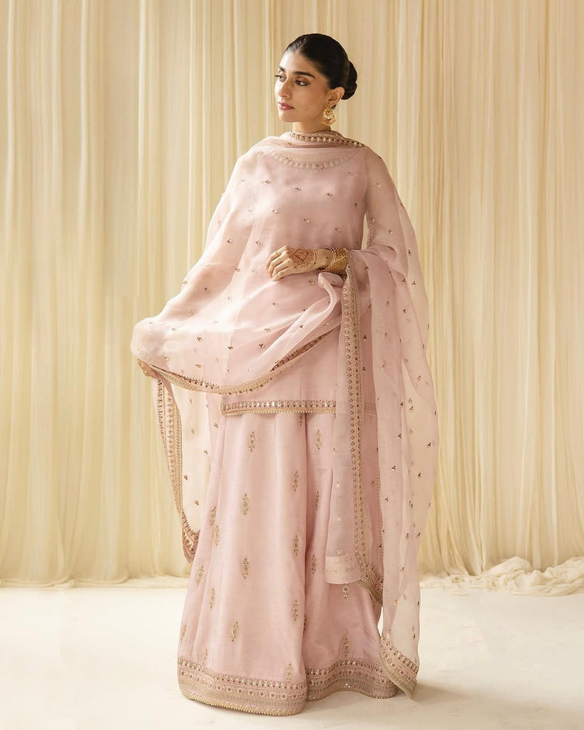 Dhanak-3PC Embroidered Shirt with Organza  Sequins Embroidered Dupatta- 3342